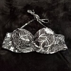 Collections By Catalina Top